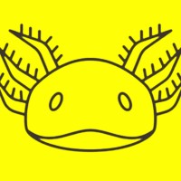 SALAMNDR Group logo - Similar company to Sendza Design (Pty) Ltd
