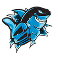 Conversion Sharks LLC logo - Similar company to Let'Stalkrx