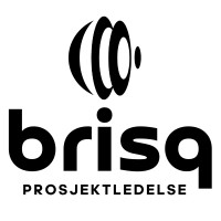 Brisq AS logo - Similar company to Taskctrl