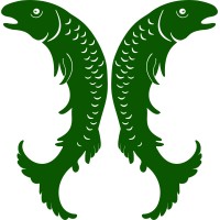 Salm-Salm & Partner GmbH logo - Similar company to Dc Placement Advisors