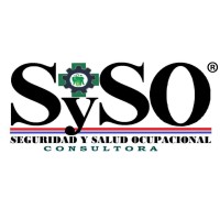 SySO Consultora logo - Similar company to Synergy Consulting S.A.C.