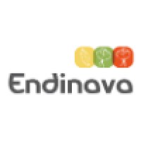 ENDINAVA logo - Similar company to Novel Ingredients
