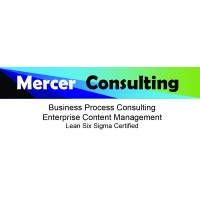 Stephen Mercer, PMP, LSSBB logo - Similar company to Itech Learners