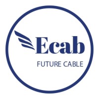 Ecab Eg logo - Similar company to Connect Net Ltd