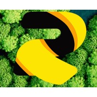 Roto Pack Global Ltd logo - Similar company to Consort Flexipack Limited
