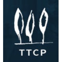 TT Capital Partners logo - Similar company to Tripletree