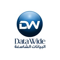 Data Wide logo - Similar company to Techpartners Consulting Services