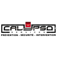 Calypso Services logo - Similar company to Bacup