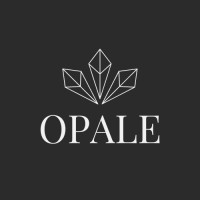 Opale sur le Web :) logo - Similar company to Opale_Systems