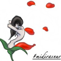 Mi Diras Nur logo - Similar company to Odl