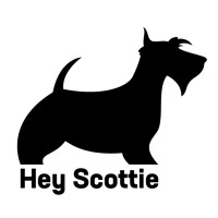 HeyScottie logo - Similar company to Sendengage