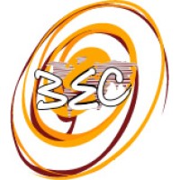 Bolivian Express Cargo SRL logo - Similar company to Exprinter Liftvans Bolivia