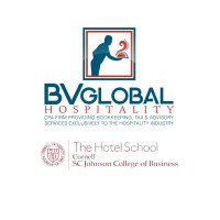 BV Global logo - Similar company to Sunburst Projects Kenya