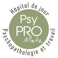 PSYPRO METZ logo - Similar company to Psypro Grenoble