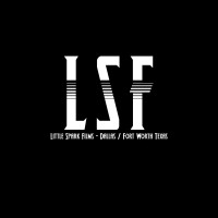 Little Spark Films logo - Similar company to Moore Digital Studios