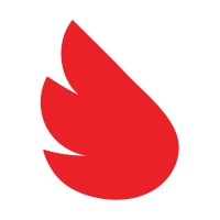 LIVEpigeon logo - Similar company to Platwidget.Com
