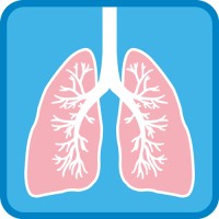 AFPF - Association Fibroses Pulmonaires France logo - Similar company to Fondation Du Souffle