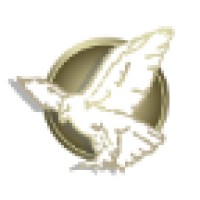 Falcon Sales and Technology, Inc. logo - Similar company to Infinity Sales, Inc.