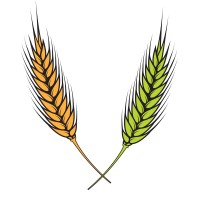 Agriculture Risk Consultant Pvt. Ltd. logo - Similar company to Soil Saviours