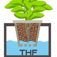 Tehri Hydroponics Farm logo - Similar company to Sun'S Shine India