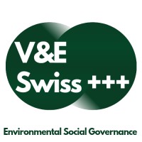 V&E Swiss +++ ESG logo - Similar company to Vizgully Creations Private Limited