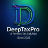 DeepTaxPro logo - Similar company to Ryaneet Educations: Study & Work In Germany