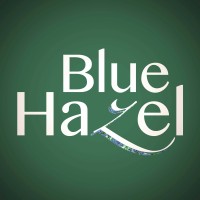 Blue Hazel LLC logo - Similar company to Canamine