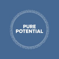Pure Potential Journey Ltd logo - Similar company to Real Direction Ltd