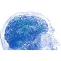 MindBigData.com logo - Similar company to Aigis Informatik Gmbh