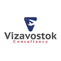 Vizavostok Consultancy logo - Similar company to School Of Pie