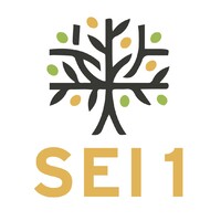 Selective Empowerment Investments 1 Limited logo - Similar company to Africanwib