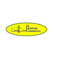 LA GABONAISE COMMERCIALE logo - Similar company to Gae Consulting