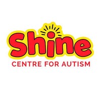 Shine Ireland logo - Similar company to Psyched Cork