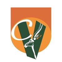 Chemvet Steel and Fencing logo - Similar company to Kondwani Group