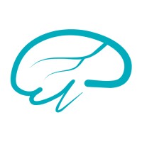 Brain Stream logo - Similar company to Chirag It Solutions