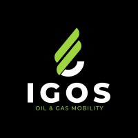 Integrated Gas & Oil Solutions logo - Similar company to Integrated Gas Technologies - Global
