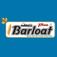 MS BARLOAT PLUS logo - Similar company to Lion Wave Solutions (Lws)