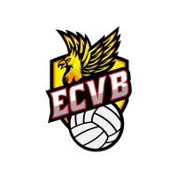 ECVB logo - Similar company to Blocbuster