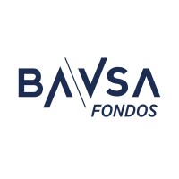 BAVSA FONDOS S.A. logo - Similar company to Bavsol