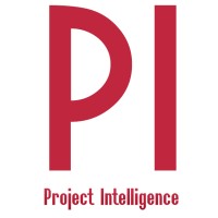 Project Intelligence Consulting logo - Similar company to Talan Ai
