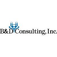 B&D Consulting, Inc. logo - Similar company to D&B Consultancy