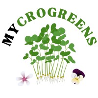 Mycrogreens logo - Similar company to Teman.Mu Community