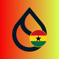 SuiNetworkGhana logo - Similar company to 1Billion Africa