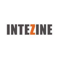 Intezine Lifestyles Pvt. Ltd. logo - Similar company to Techvis Consultants