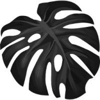 Standard Retail logo - Similar company to Replica Studios