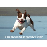 DillonMarcus, Builder of World-Class Executive Teams logo - Similar company to Why Not Spot-It?