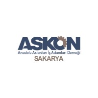 ASKON Sakarya logo - Similar company to Defne Su