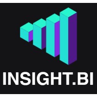 Insight BI Services logo - Similar company to Touch Bi