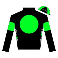 Proven Thoroughbreds logo - Similar company to Blueblood Thoroughbreds