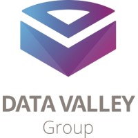 Data Valley Group B.V. logo - Similar company to Data Valley Solutions